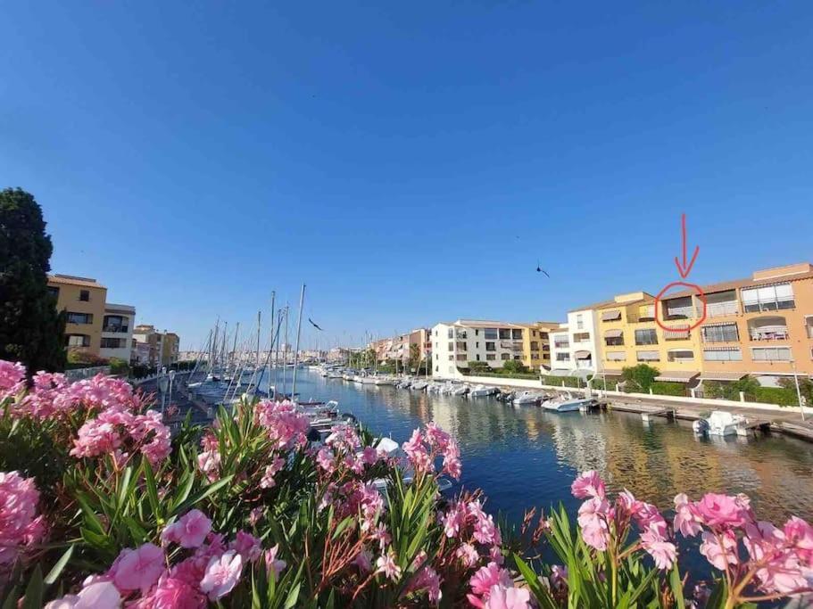 Cap'Nomad Studio Cote Mer - Balcon - Piscine - Parking Agde Exterior photo